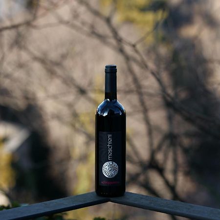 Azienda Agricola Moschioni Cividale del Friuli 外观 照片