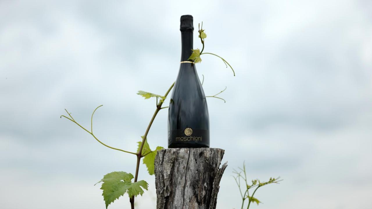 Azienda Agricola Moschioni Cividale del Friuli 外观 照片