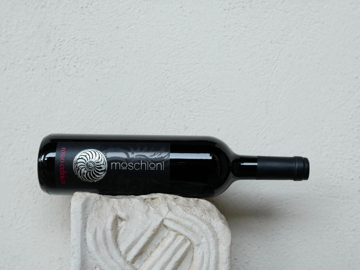 Azienda Agricola Moschioni Cividale del Friuli 外观 照片